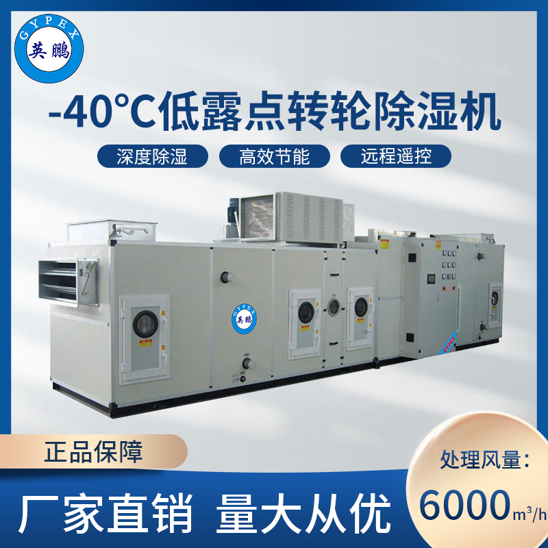-40度低露点转轮除湿机6000